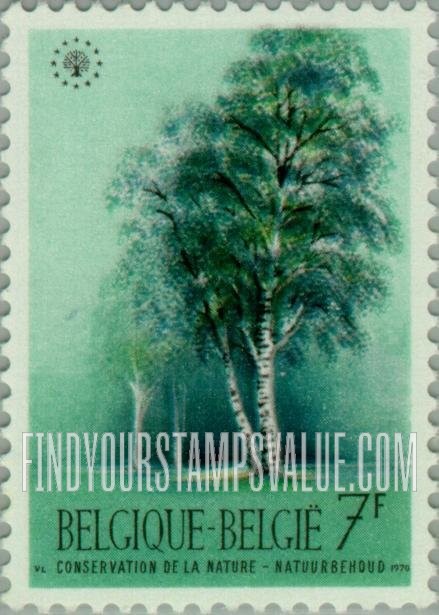 FindYourStampsValue: Birches