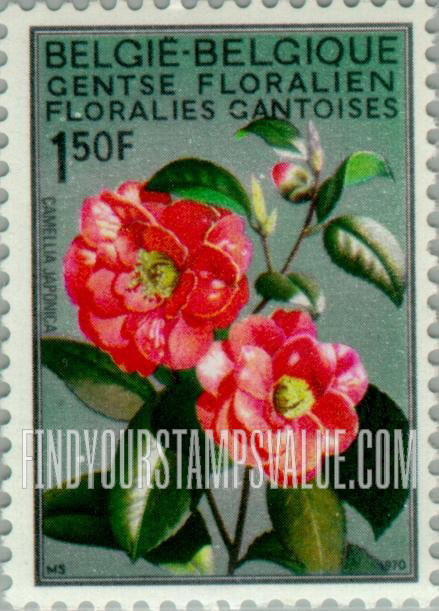 FindYourStampsValue: Camellia