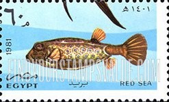 FindYourStampsValue: 50th anniversary of Al-Ghardaka Marine Biological Station - الذكرى السنوية الخمسون لمحطة الغردقة البحرية البيولوجية