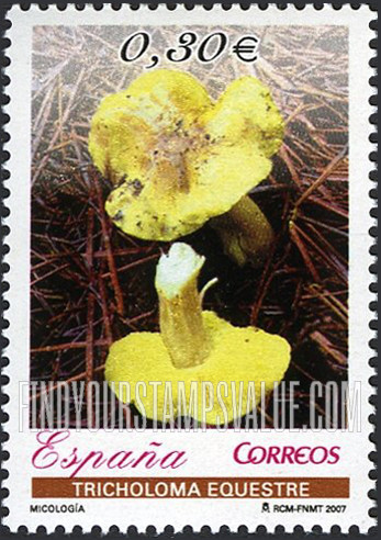 FindYourStampsValue: Mushrooms: Tricholoma equestre