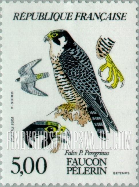 FindYourStampsValue: Local Birds: Peregrine falcon