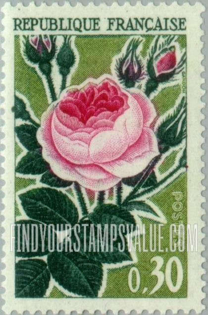 FindYourStampsValue: Old-fashioned rose