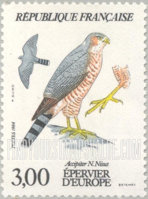 FindYourStampsValue: Local Birds: Accipiter nisus