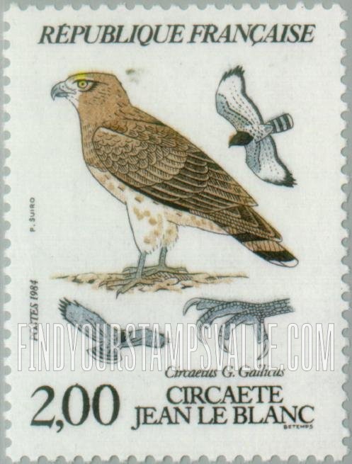 FindYourStampsValue: Local Birds: Circaetus gallicus