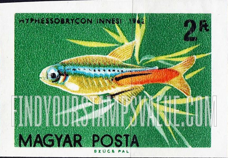 FindYourStampsValue: Tropical Fish: Hyphessobrycon innesi