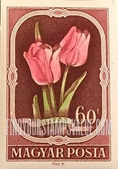 FindYourStampsValue: Tulip