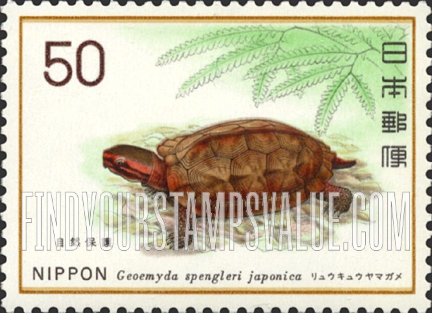 FindYourStampsValue: Ryukyu-Yamagame Tortoise (Geomyda spengleri japonica) - リュウキュウヤマガメ