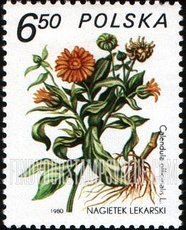 FindYourStampsValue: Medicinal plants: Calendula