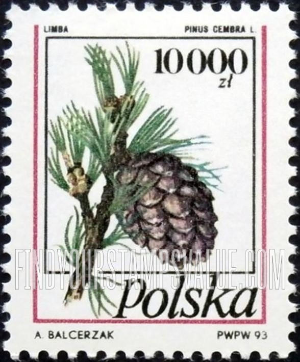 FindYourStampsValue: Pine Cone Type of 1991: Pinus cembra