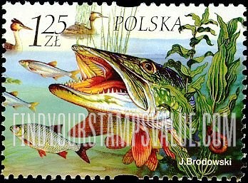 FindYourStampsValue: Flora and Fauna in Reservoirs: Pike chasing smaller fish, grebe, snail