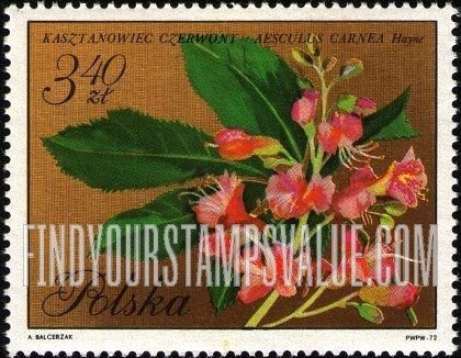 FindYourStampsValue: Blossoms: Red chestnut