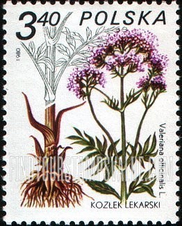 FindYourStampsValue: Medicinal plants: Valeriana