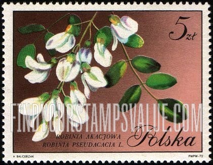 FindYourStampsValue: Blossoms: Acacia robinia