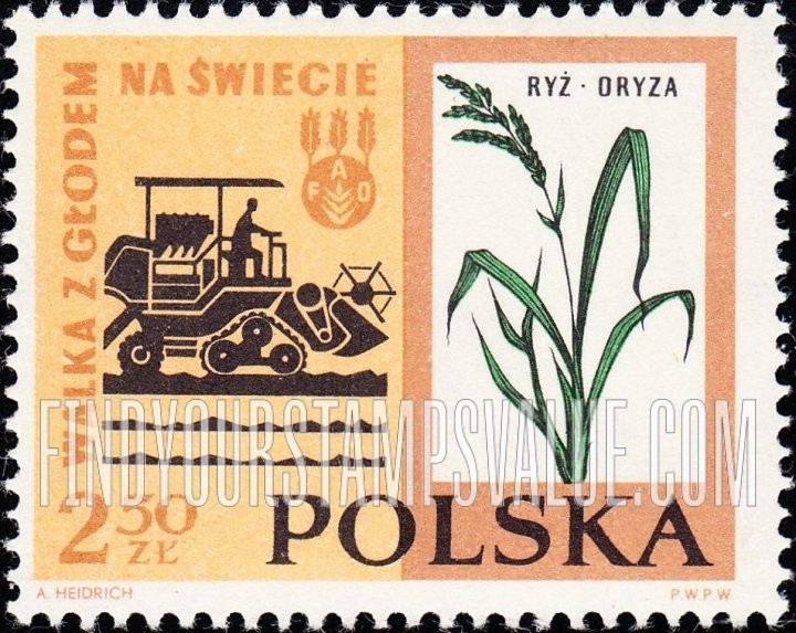 FindYourStampsValue: Combine and rice