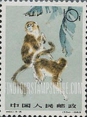 FindYourStampsValue: Two monkeys playing - 两只猴子在玩