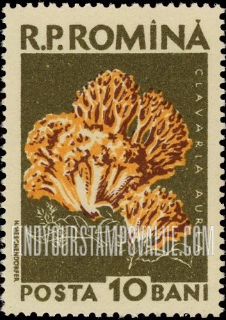FindYourStampsValue: Mushrooms: Clavaria Aurea