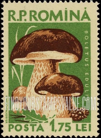 FindYourStampsValue: Mushrooms: Boletus edulis