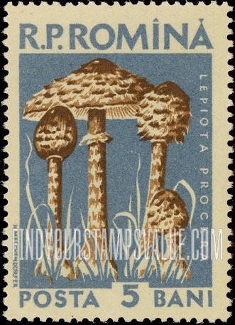 FindYourStampsValue: Mushrooms: Lepiota Procera