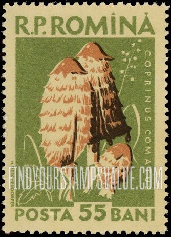 FindYourStampsValue: Mushrooms: Coprinus comatus
