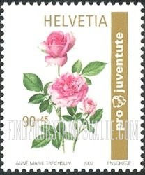 FindYourStampsValue: Semi-Postal, Roses: Charmian rose (pink petals)