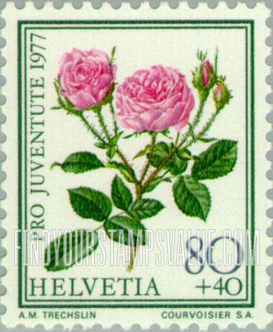 FindYourStampsValue: Semi-Postal: Wild Rose