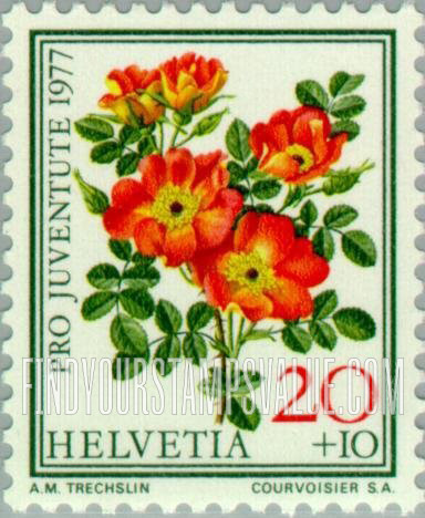 FindYourStampsValue: Semi-Postal: Wild Rose