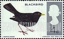 FindYourStampsValue: Great Britain (United Kingdom): British Birds - European Blackbird