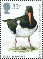 FindYourStampsValue: Great Britain (United Kingdom): Birds - Oystercatcher