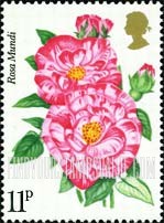 FindYourStampsValue: Great Britain (United Kingdom): Centenary of Royal National Rose Society - Rosa Mundi