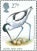 FindYourStampsValue: Great Britain (United Kingdom): Birds - Avocet