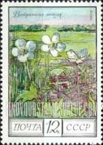 FindYourStampsValue: Russia: USSR, Regional Flowers - Wood Anemones, Steppe