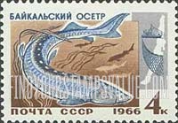 FindYourStampsValue: Russia: USSR, Fish Resources of Lake Baikal - Sturgeon