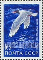 FindYourStampsValue: Russia: USSR, Waterfowl of the USSR - Meditarranean Gull