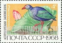 FindYourStampsValue: Russia: USSR, Astrakhan State Reservation - Purple Gallinule and Lotus