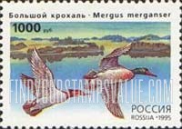 FindYourStampsValue: Russia: Russian Federation, Ducks - Mergus Merganser