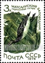 FindYourStampsValue: Russia: USSR, Nature Protection - Arctic Loon