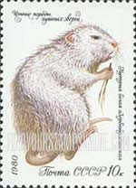 FindYourStampsValue: Russia: USSR, Furry Animals - Azerbaijan Nutria