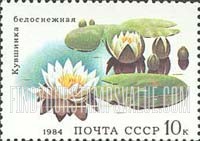 FindYourStampsValue: Russia: USSR, Aquatic Plants - White Nymphaea