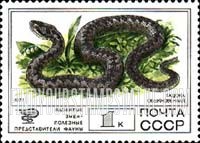 FindYourStampsValue: Russia: USSR, Protected Fauna - Viper
