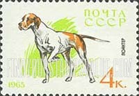FindYourStampsValue: Russia: USSR, Dogs - Pointer