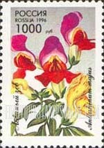 FindYourStampsValue: Russia: Russian Federation, Flowers - Antirrhinum Majus