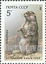 FindYourStampsValue: Russia: USSR, Fauna - Menzbira Marmot