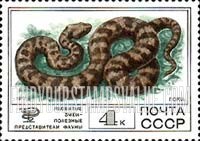 FindYourStampsValue: Russia: USSR, Protected Fauna - Lebetina Viper
