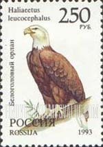FindYourStampsValue: Russia: Russian Federation, Wildlife - Haliaeetus Leucocephalus