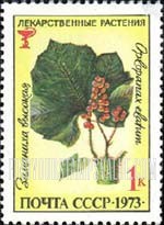 FindYourStampsValue: Russia: USSR, Medicinal Plants - Echinopanax Elatum