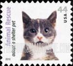 FindYourStampsValue: ANIMAL RESCUE - Gray, White and Tan Cat, Self-Adhesive stamp
