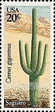 FindYourStampsValue: DESERT PLANTS - Saguaro