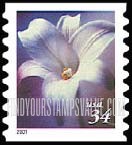FindYourStampsValue: FLOWERS - Longiflorum, Self-Adhesive Booklet Stamp