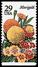 FindYourStampsValue: GARDEN FLOWERS - Marigold, booklet stamp