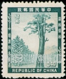 FindYourStampsValue: Forest of Evergreens - 常绿森林